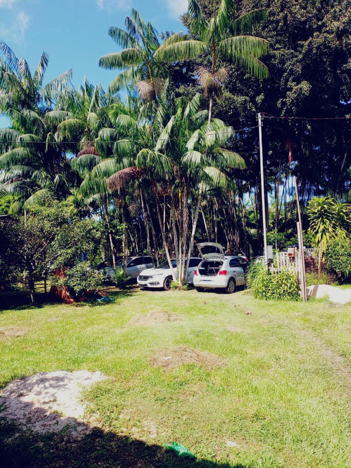 Eco Sitio O Labirinto Do Fauno Hotell Mosqueiro  Eksteriør bilde