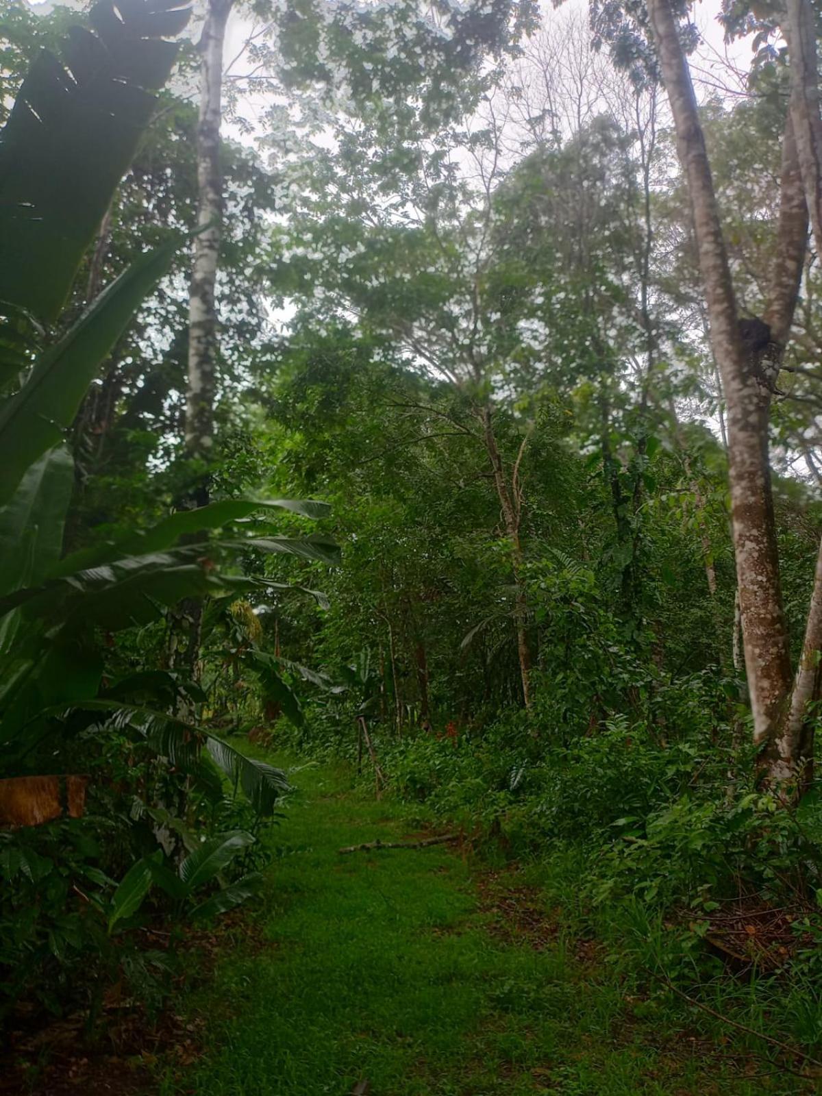 Eco Sitio O Labirinto Do Fauno Hotell Mosqueiro  Eksteriør bilde