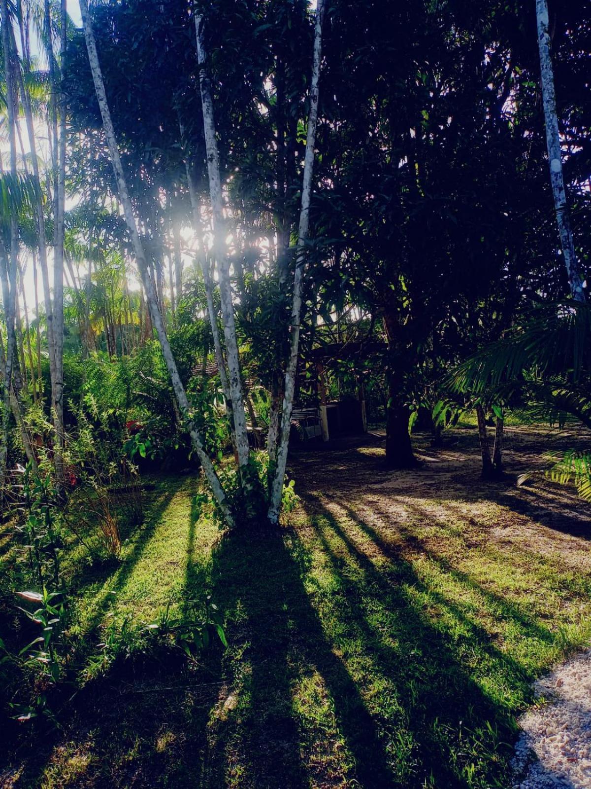 Eco Sitio O Labirinto Do Fauno Hotell Mosqueiro  Eksteriør bilde